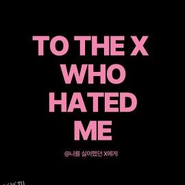 致曾经讨厌我的X 海报