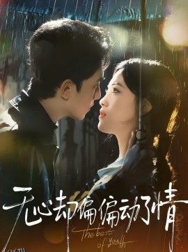 无心却偏偏动了情 海报