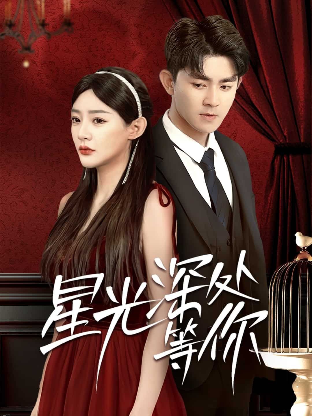 星光深处等你 海报