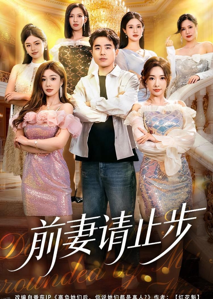 前妻请止步 海报