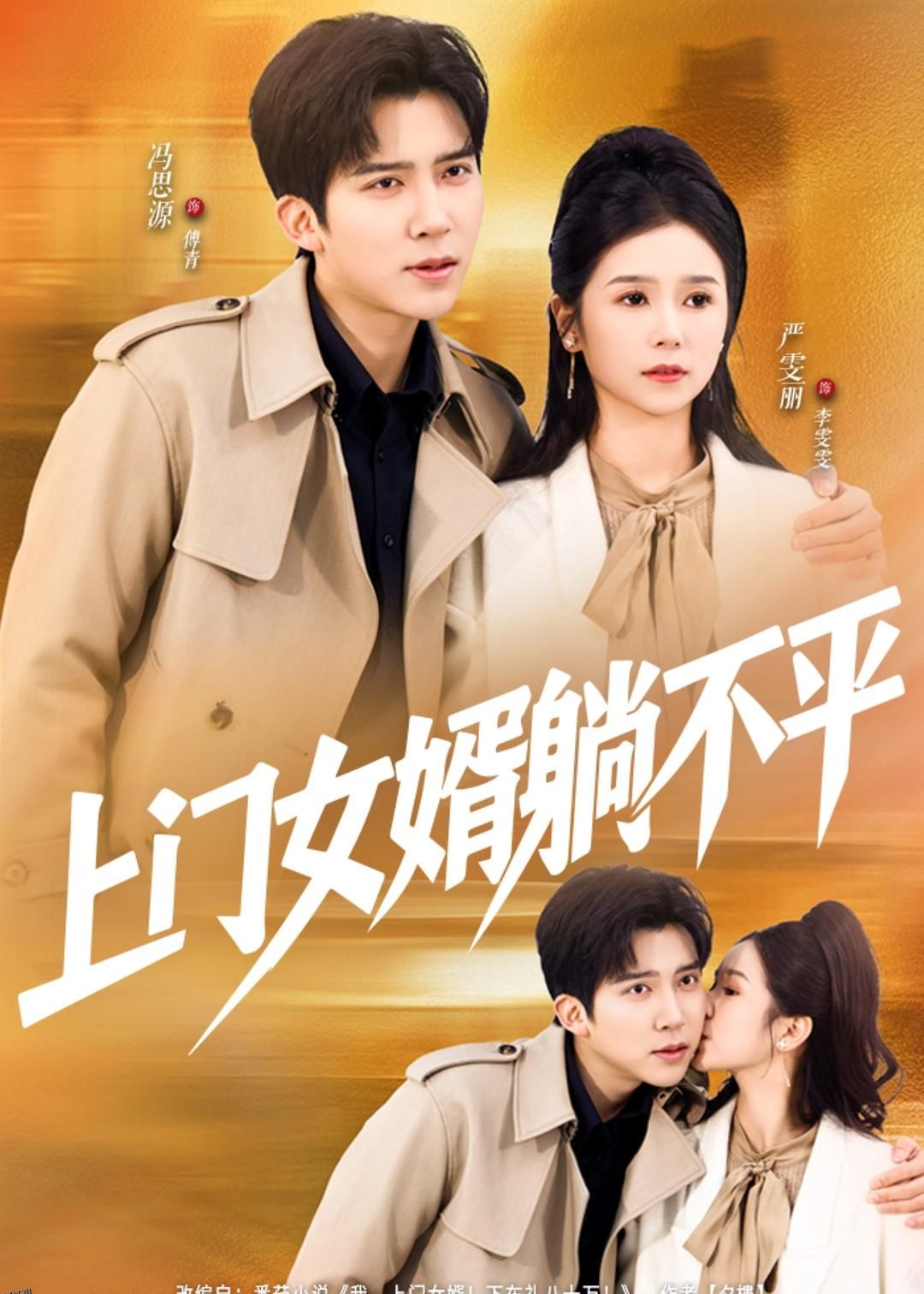 上门女婿躺不平 海报