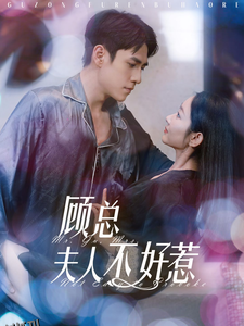 顾总夫人不好惹 高清海报