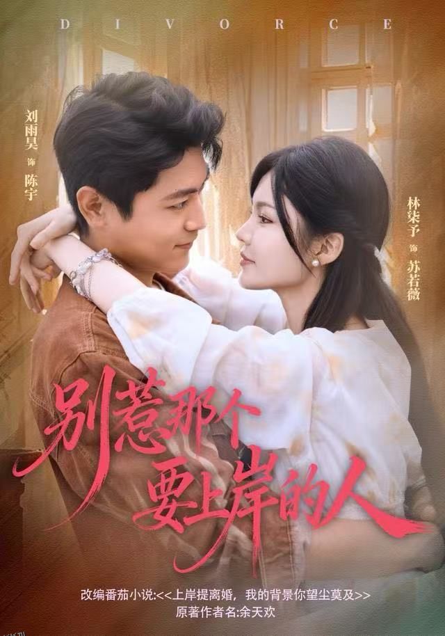 别惹那个要上岸的人 海报