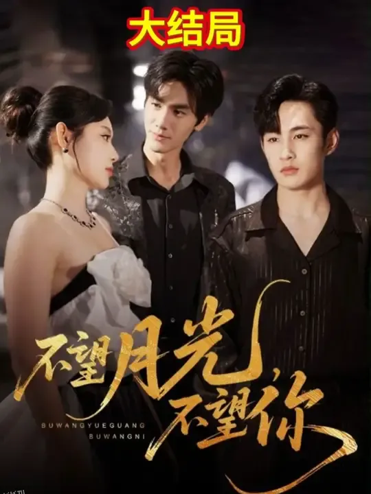 不望月光不望你 海报