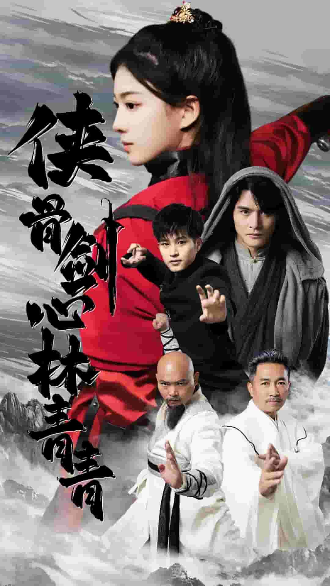 侠骨剑心林青青 海报