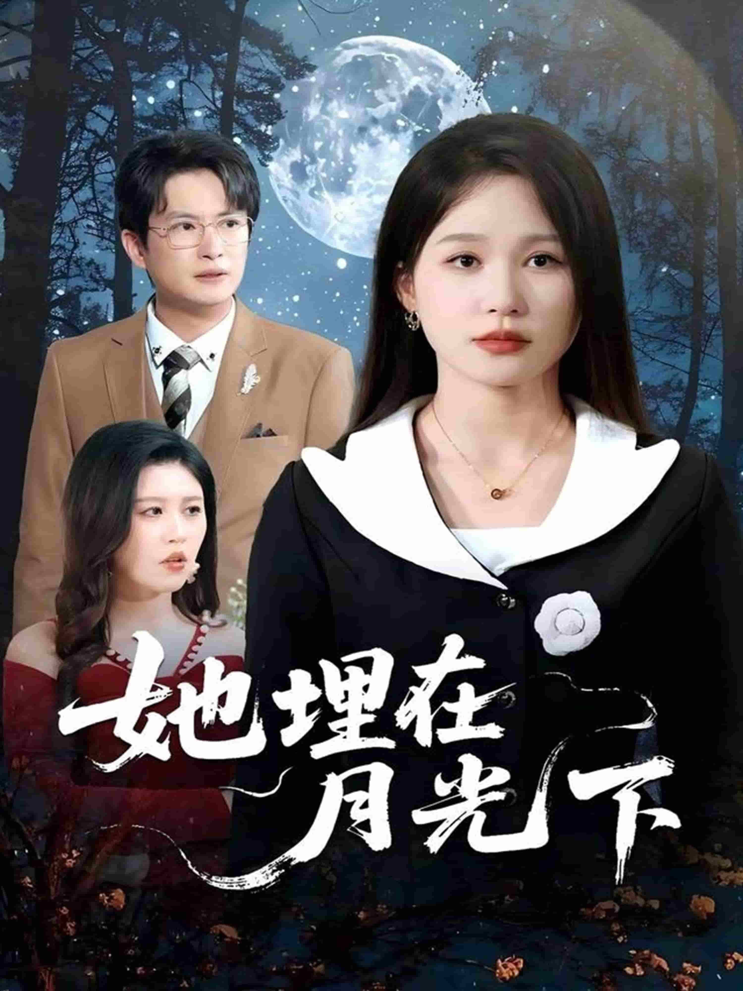 她埋在月光下 海报