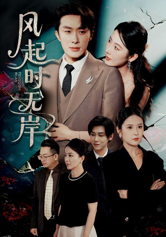 风起时无岸 海报