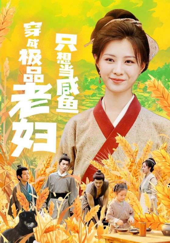 穿成极品老妇只想当咸鱼 海报