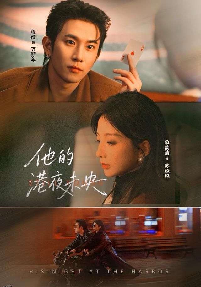 他的港夜未央 海报