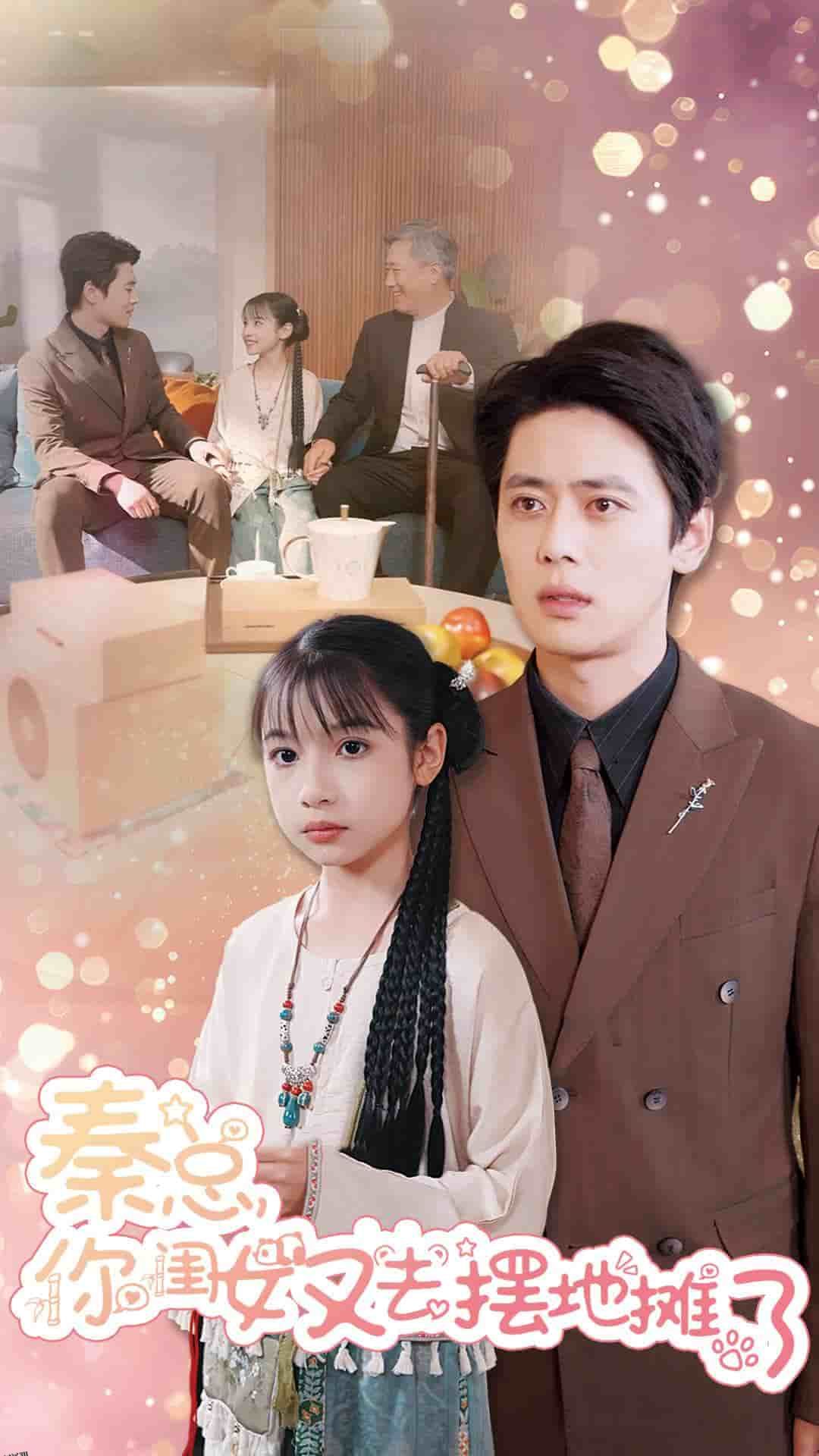 秦总你闺女又去摆地摊了 高清海报