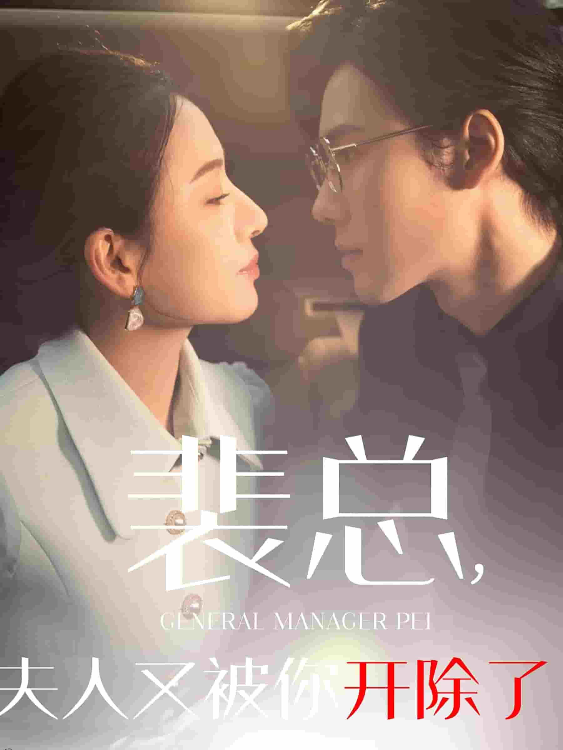 裴总夫人又被你开除了 高清海报