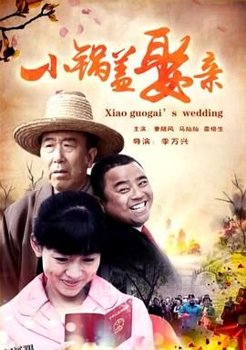 小锅盖娶亲 海报