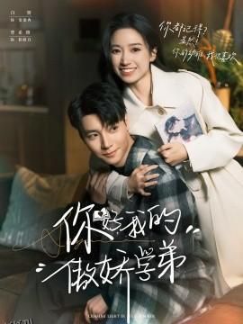 你好，我的傲娇学弟 海报