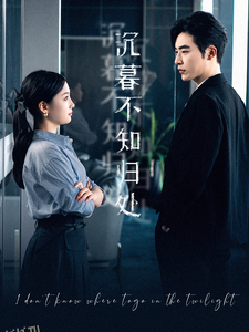 沉暮不知归处 海报