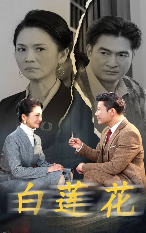 白莲花 短剧版 海报