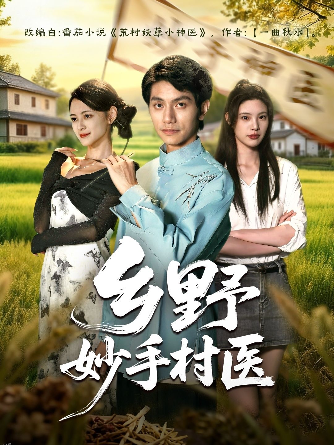 乡野妙手村医 海报