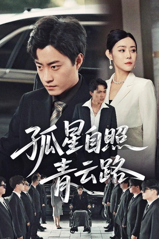 孤星自照青云路 海报