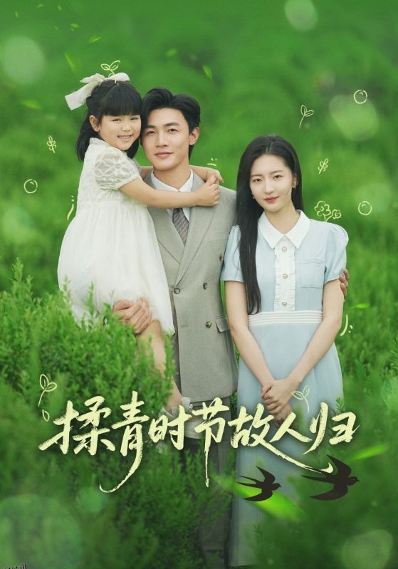 揉青时节故人归 海报