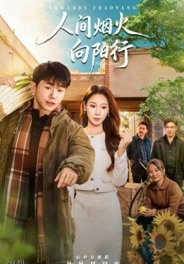 人间烟火向阳行 海报