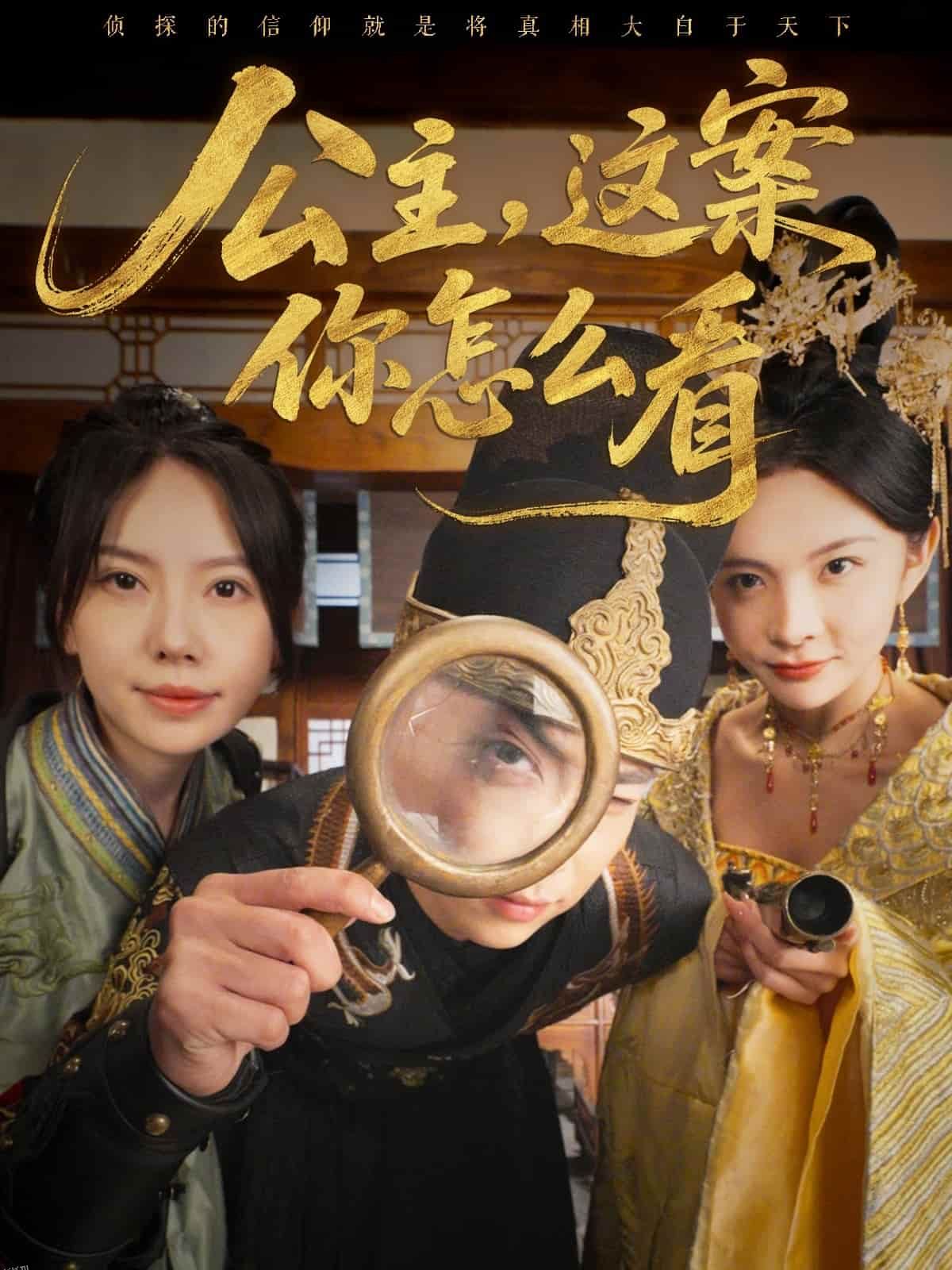 公主，这案你怎么看 海报