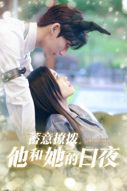蓄意撩拨他和她的日夜 海报