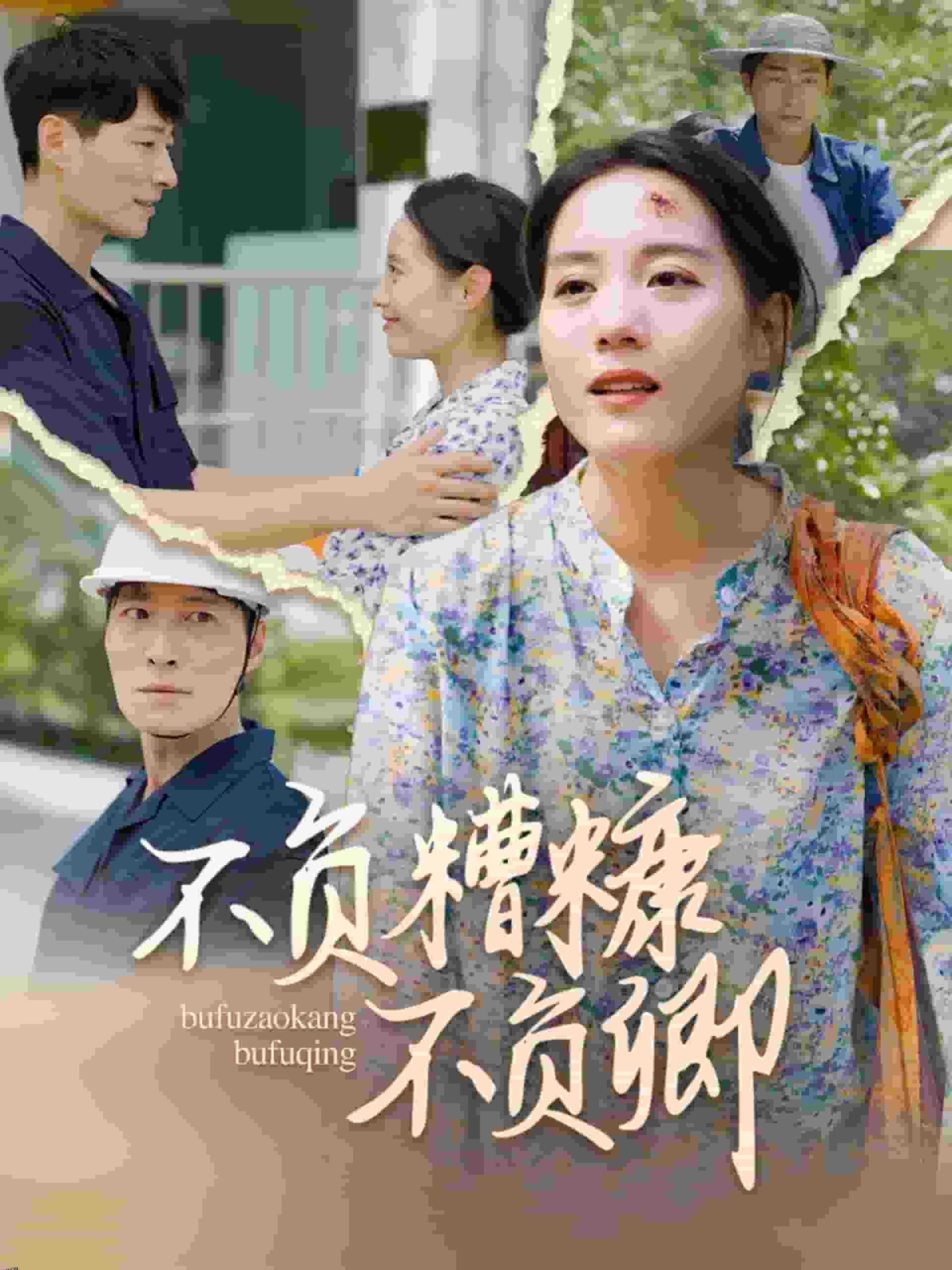 不负糟糠不负卿 海报