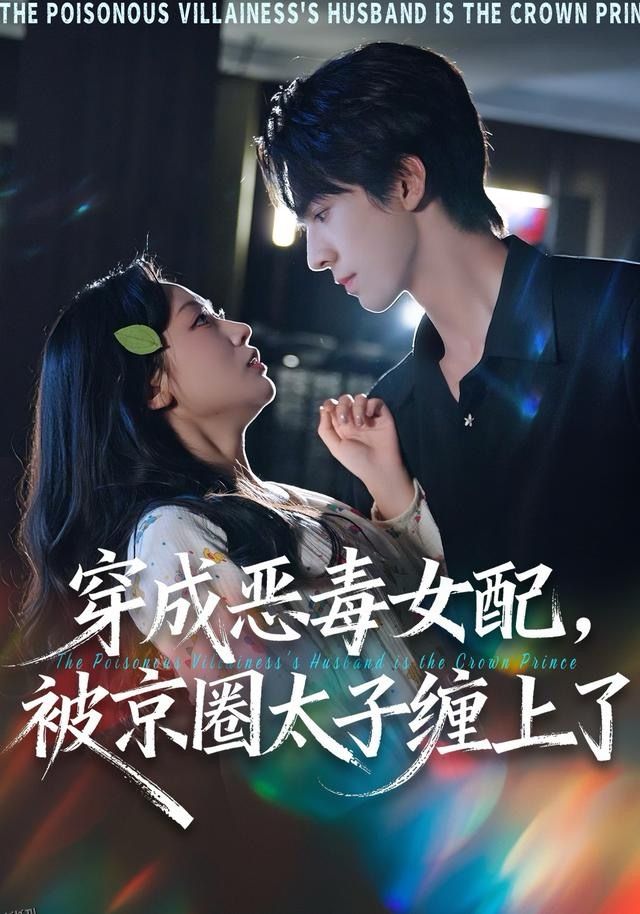 穿成恶毒女配被京圈太子缠上了 海报
