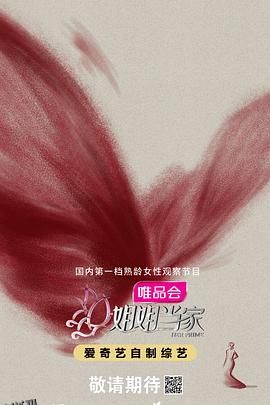 姐姐当家 高清海报