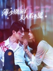 薄少别演了夫人看不见 海报