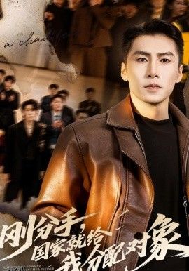 刚分手，国家就给我分配对象 海报