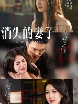 新版：消失的妻子 海报