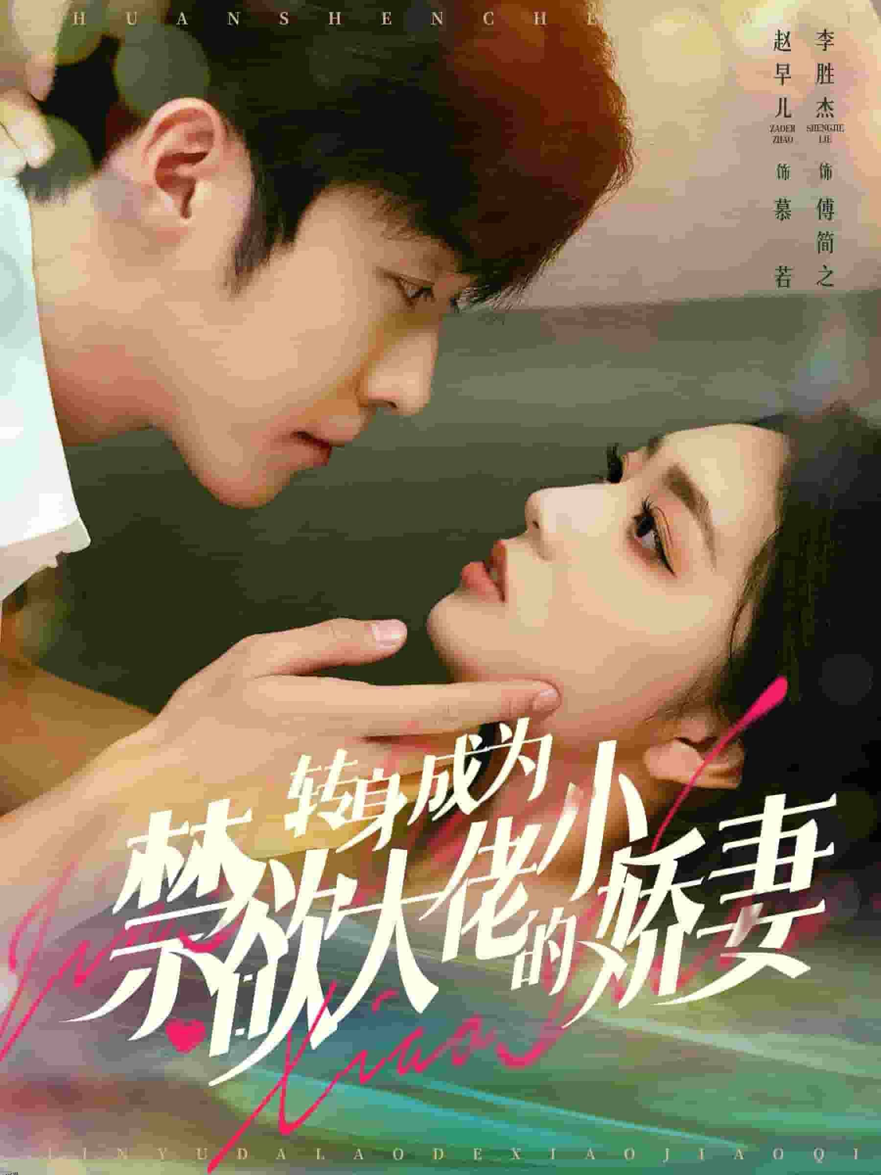 转身成为禁欲大佬的小娇妻 海报