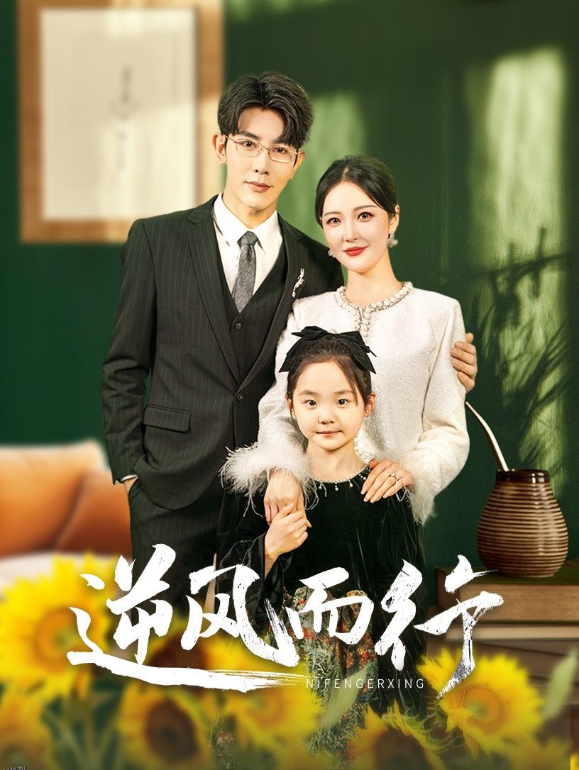 逆风而行 高清海报