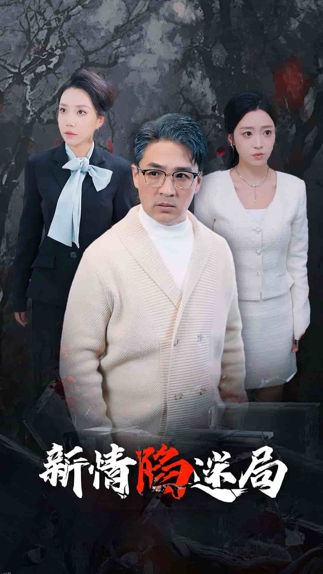 新情陷迷局 海报