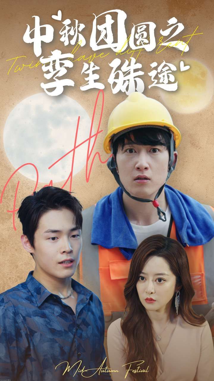 中秋团圆之孪生殊途 海报