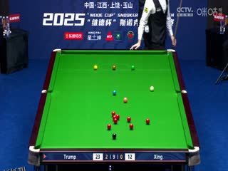 斯诺克玉山世界公开赛首日 贾德·特鲁姆普5-0邢子豪 20250223 海报