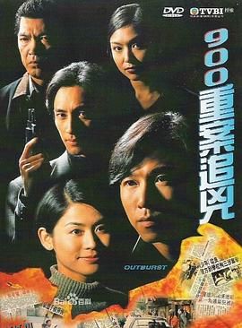 900重案追凶国语 海报