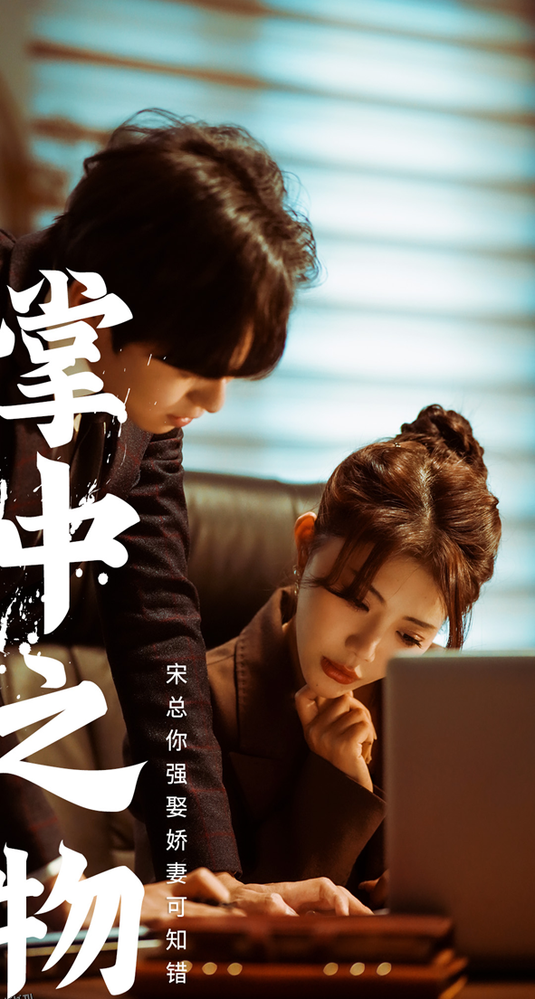 掌中之物：宋总娶娇妻可知错 海报