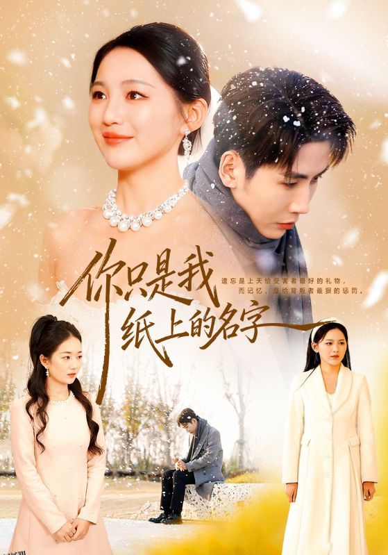 你只是我纸上的名字 海报