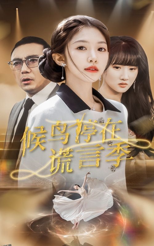 候鸟停在谎言季 海报