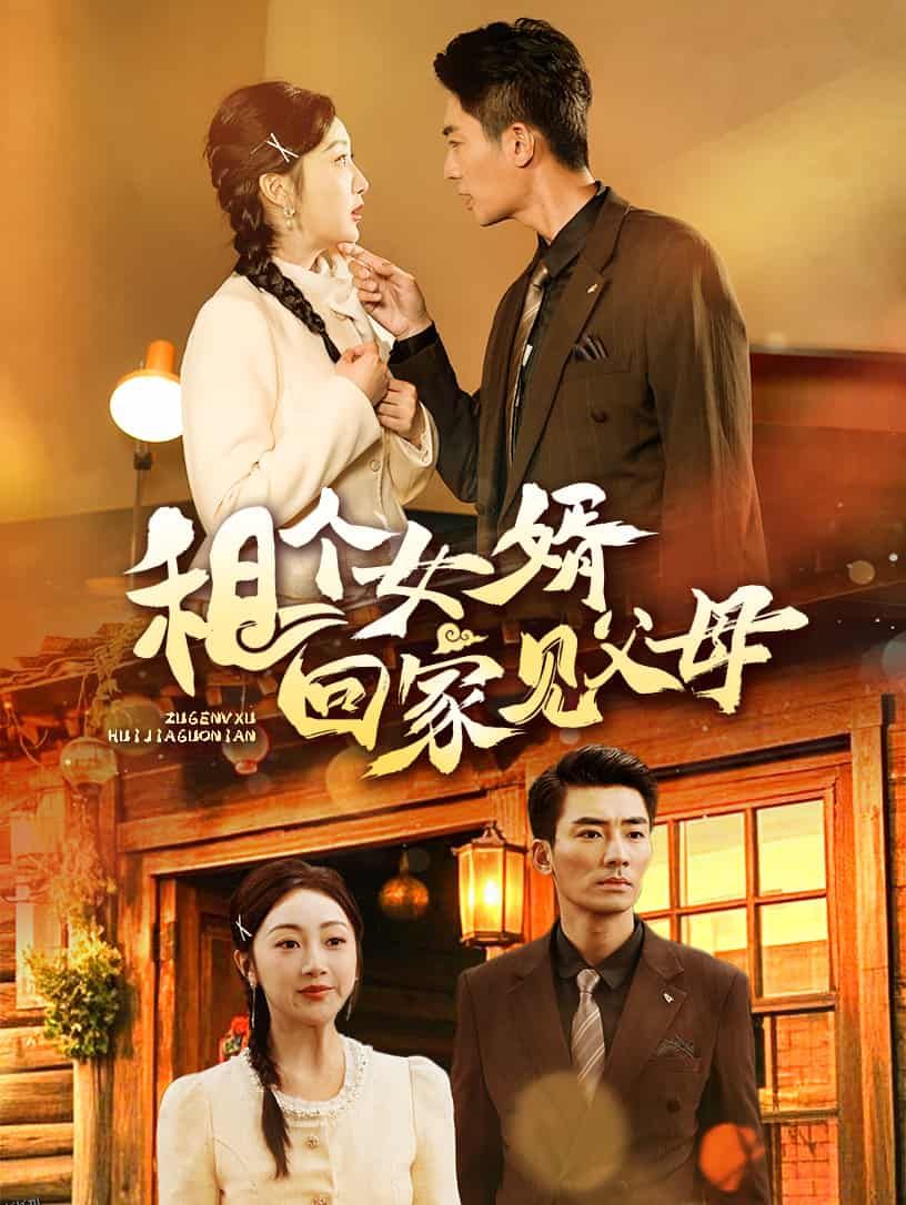 租个女婿回家见父母 海报