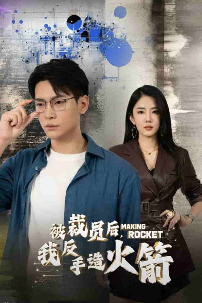 被裁员后，我反手造火箭 海报