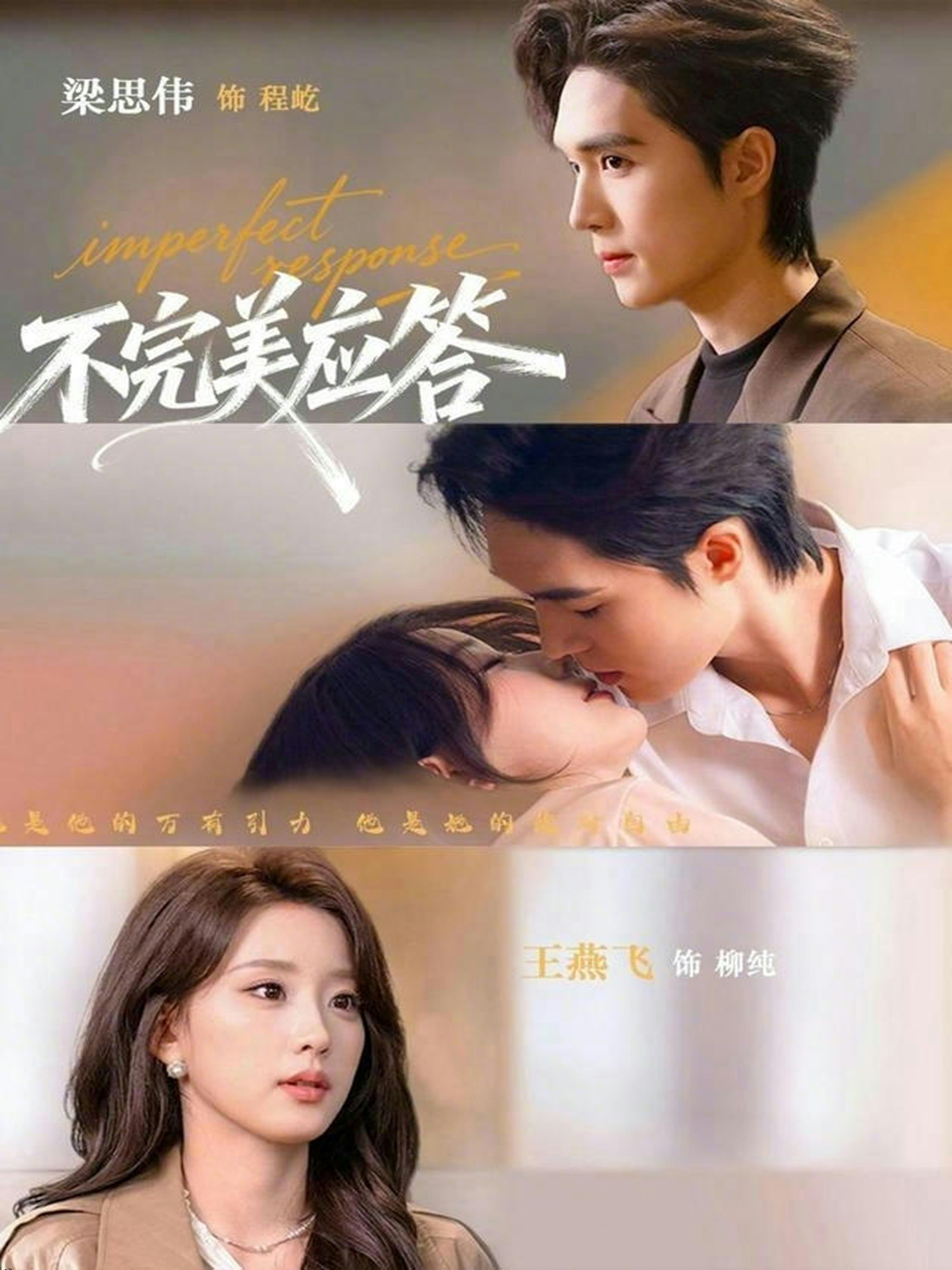 不完美应答 海报