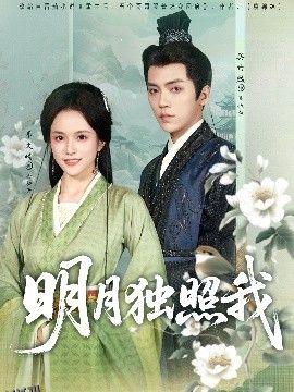 明月独照我 海报