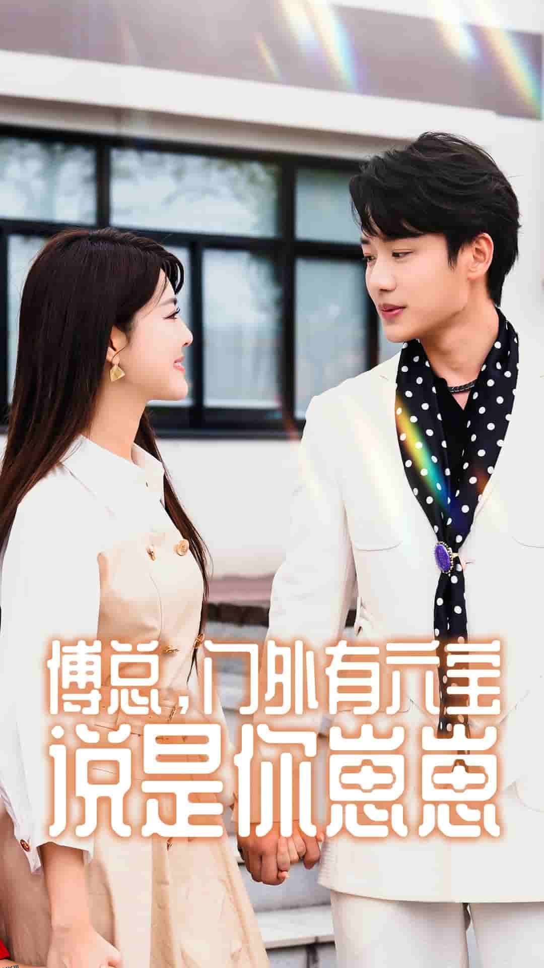 傅总，门外有六宝说是你崽崽 海报