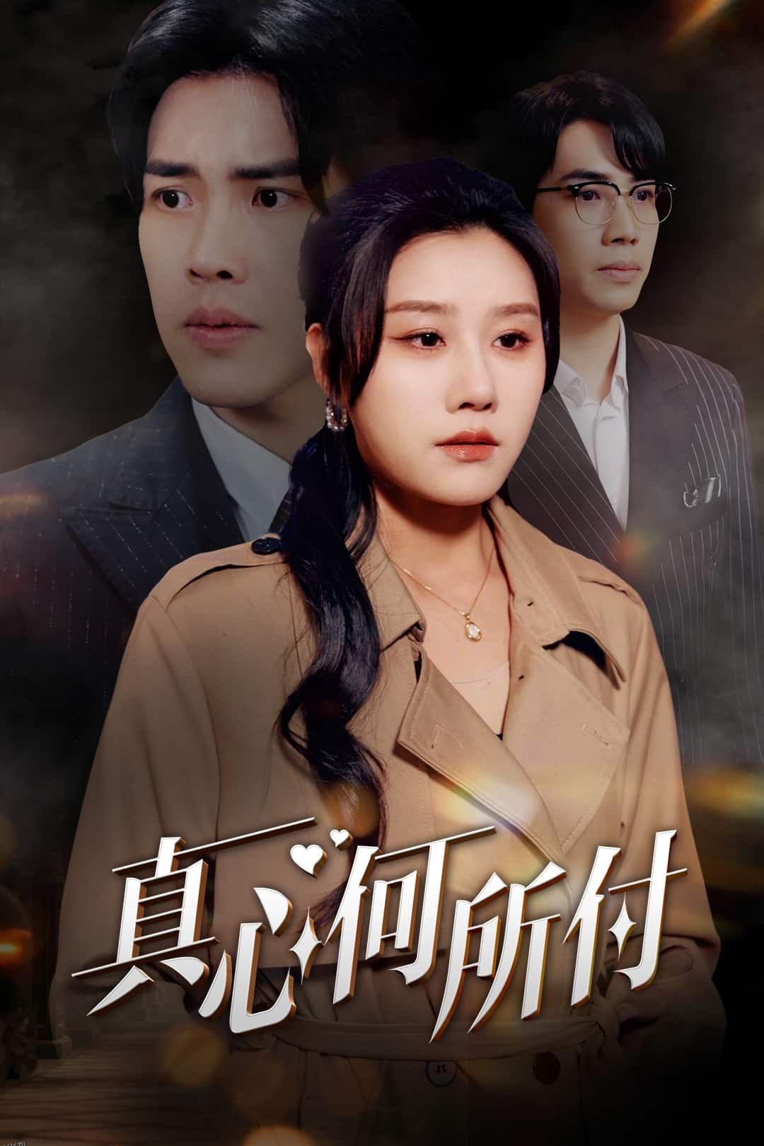 真心何所付 海报