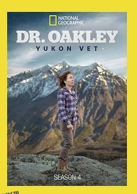 育空兽医第四季 海报