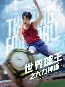 世界球王之大力神杯 海报