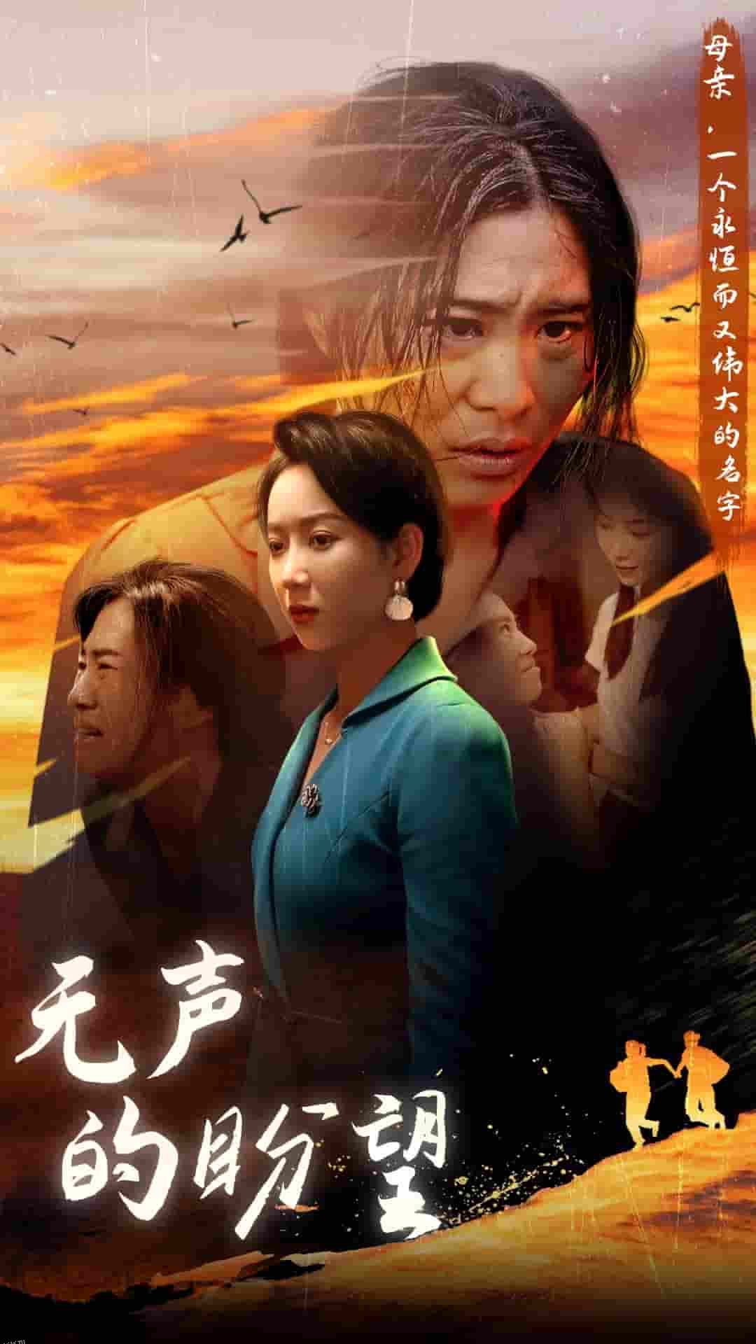 无声的盼望 海报