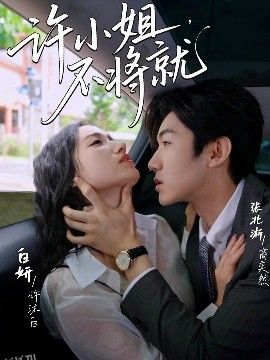 许小姐，不将就 海报